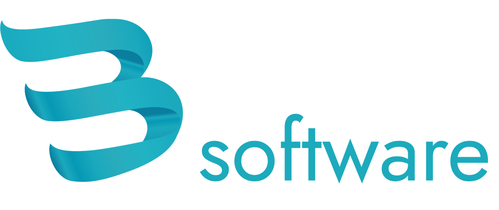 Kurumsal web tasarım hizmeti sunan BNM SOFTWARE logosu